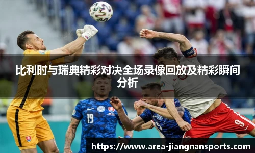 比利时与瑞典精彩对决全场录像回放及精彩瞬间分析