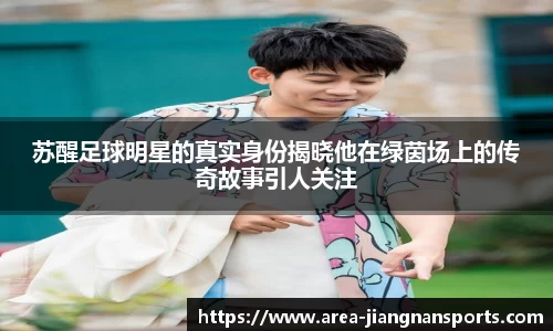 苏醒足球明星的真实身份揭晓他在绿茵场上的传奇故事引人关注