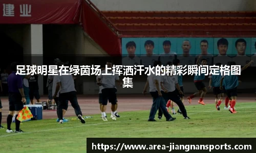 足球明星在绿茵场上挥洒汗水的精彩瞬间定格图集